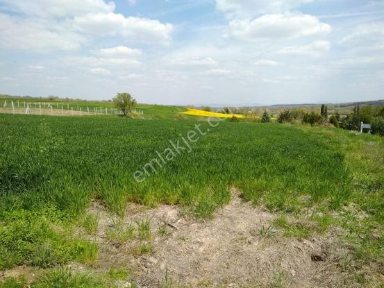 Sahibinden Pınarhisar Osmancık Köyünde Müstakil Tapulu 2078 M2 Tarla