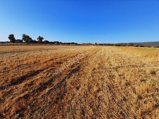 Dikili Bahçeli Mahallesinde Satılık Yatırımlık Tarla