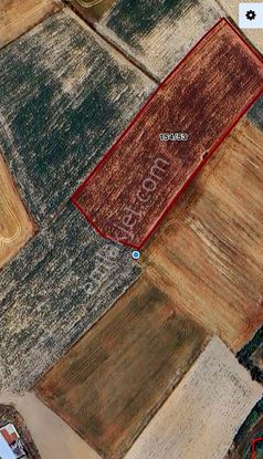 Acil Satılık Hisse