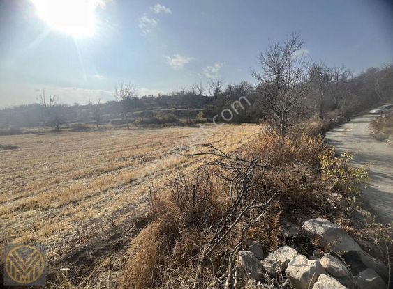 Gesi Kuzey'de İmarlı Bahçe