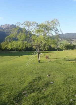 Balıkesir Dursunbey Delicede Yatırımlık Bahçe Uygun Fiyatlı