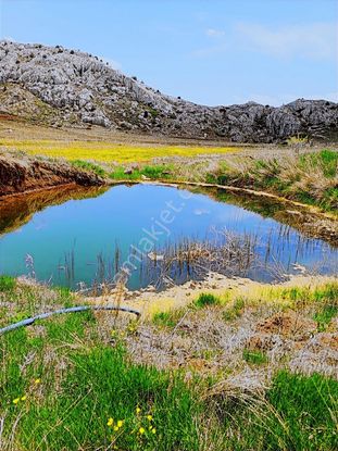 Talha Tozduman'dan Altıntaş Yaylasında Yola Cephe Müstakil 3.976
