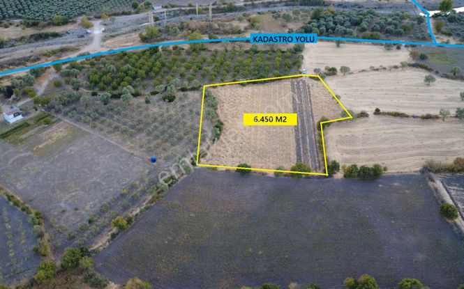 Manisa Halıtlı Da 6.450 M2 Tarla, Tek Tapu