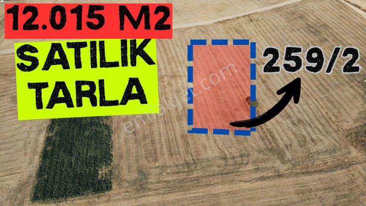 Vezirköprüde Şehir Merkezine 5 Dakika 12 Dönüm Satılık Tarla