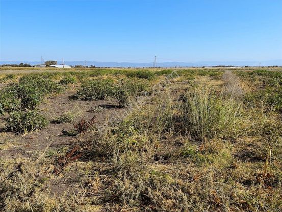 Karacabey Seyranda Tek Tapu Ana Yolun Yanında 2500 M2 Tarla