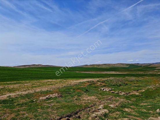 Gölbaşı Mahmatlı İmar Sınırında Satılık Tarla