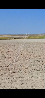 Polatlı Müslüm Mah. Yapılaşma İçinde Tek Ve Kök Tapu Satılık