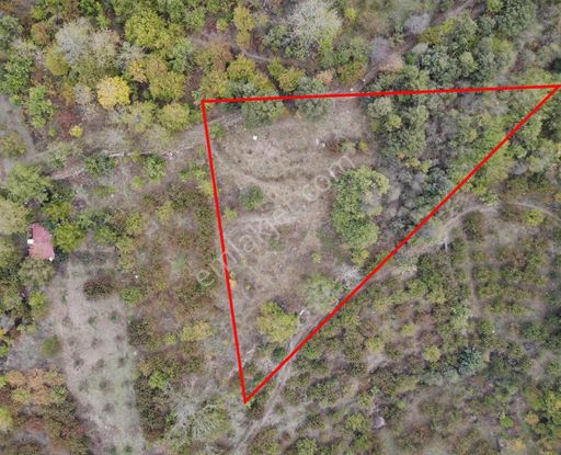 Jasse'den Satılık Tarla