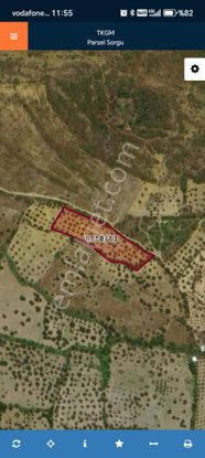 Cunda Adasında Müstakil Parsel 6534 M2 Satılık Zeytinlik