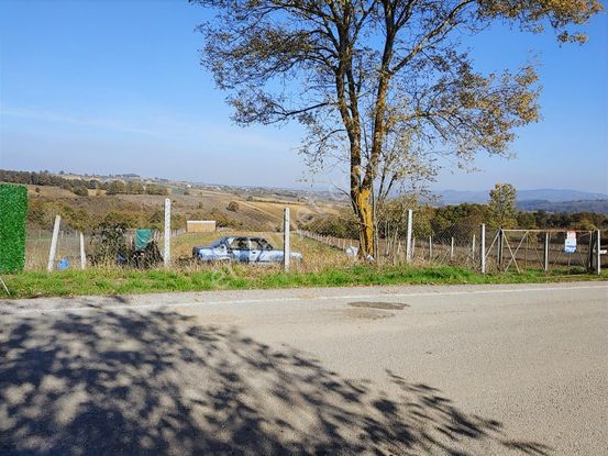 Kandıra Kırkarmut Da 6932 M2 Verimli Tarım Arazisi