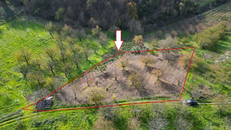 Kocaeli Karamürsel Akçat Satılık 1477 M2 Bakımlı Bahçe