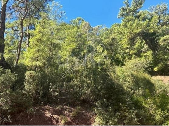 Muğlaya 15 Dakika Uzaklıktaki Yeşilyurtta En Ucuz Düz Arazi