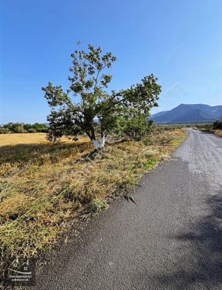 Asfalta Sıfır Satılık Fırsat Tarla