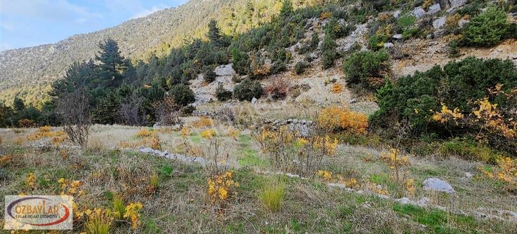 Antalya Akseki Sadıklarda Satılık Bağ Tapulu Arazi Kaçmaz