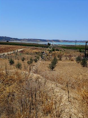 Karaömerli'de Göl Manzaralı, Elk Su Yol Mevcut.