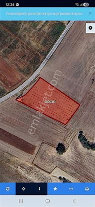 Müminli'de Tek Tapu 5207 M², Asfalt Kenarı, 180 Adet Zeytinli.