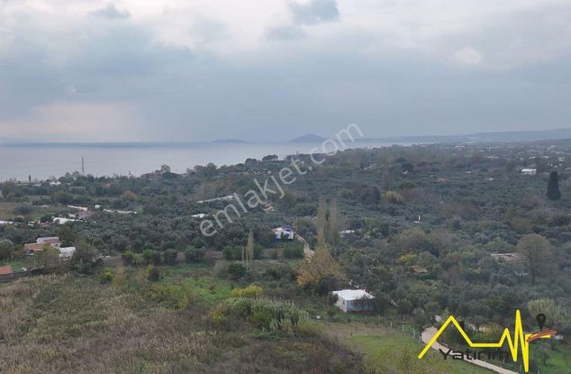 Hamamlıda Denize Yürüme Mesafesinde Satılık Arazi