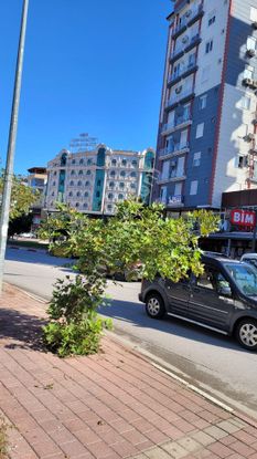 Sahibinden Ana Caddede Gdk Cepheli Daire