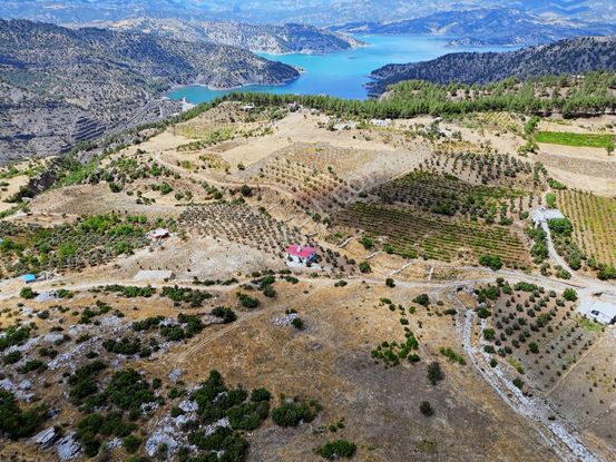 Cb'den Sarıçukur'da Çiftlik Ve Yatırıma Uygun Satılık Arsa