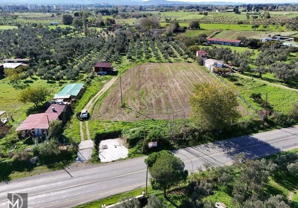 Burhaniye Örende İmar Planı İçerisinde Asfalta Cephe 8.377 Metrekare Tarla