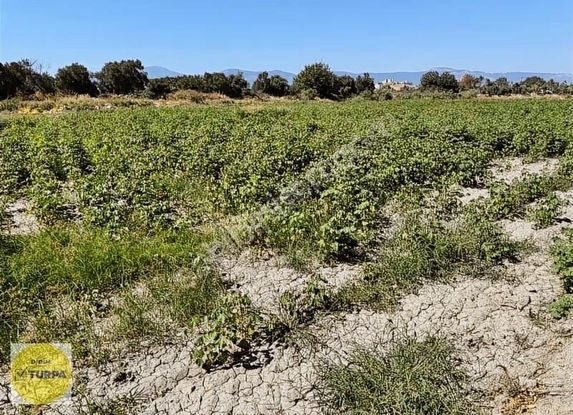 Satılık Villa İmarlı Arsa