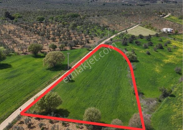 Turyap Altınoluk'tan Pelitköyde Yatırımlık Tarla