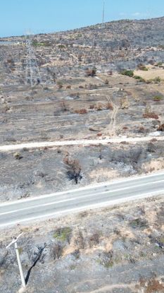 Çeşme İzmir Yolunda 230 Metre Ana Yol Cepheli Satılık Tarla