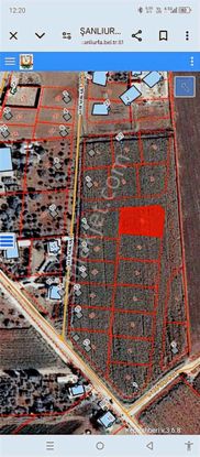 Güzel Emlak Tan Kısasta 3 Katlı Arsa