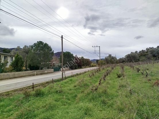 Seferihisar Orhanlı Merkezde Ana Yola Sıfır Tarla