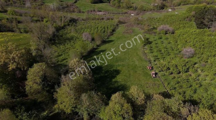 Kerpe'de 7 Dönüm Yatırımlık Tarla İstanbula Yakın Mesafe