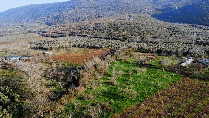 Nilüfer Fadıllı Tek Tapu 400 M2 Satılık Tarla Köyün Dibinde