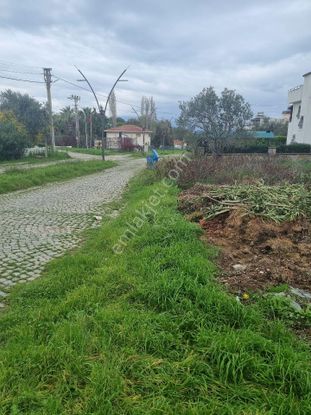 Premar Ayvada'dan Gömeç Karaağaç Sahil'de Villa İmarlı Arsalar