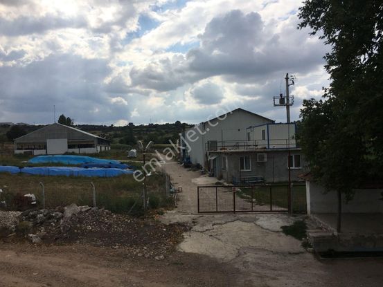 Balıkesir Altıeylül Pamukçu'da 24 Dönüm Ruhsatlı Çiftlik