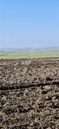 Altun Arsa Ofisi,nde Evrensekizfatih Al Sata Uygun