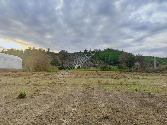 Antalya Manavgat Örenşehir Mahallesi Satılık Tarla