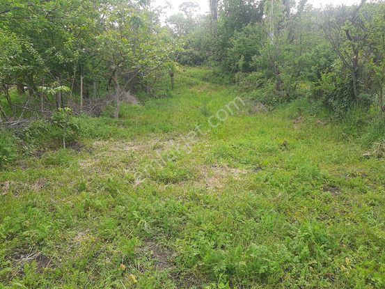 Mir'den Balıkesir Kepsut Tuzak'ta Satılık Bahçe