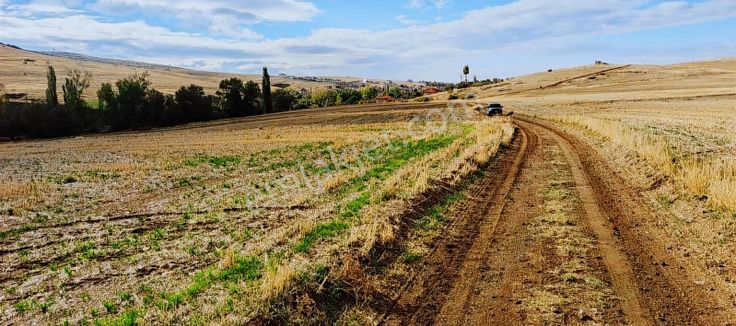 Sorgun Merkez Mükremin Mahallesi Tek Tapulu