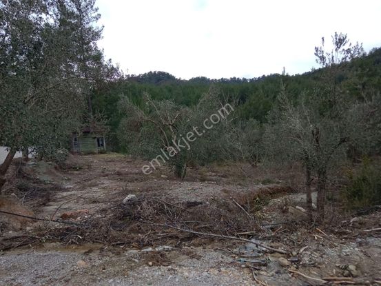 Stop’tan Dalaman Karacağaç *465 M2 Satılık Tarla*