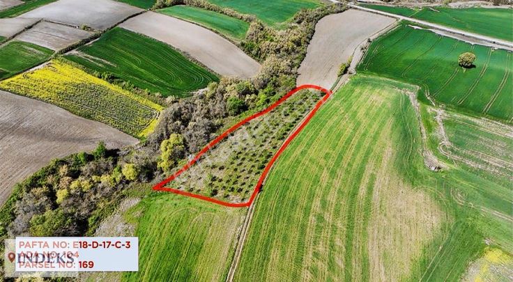 Babaeski Karacaoğlan Yolu Üzerinde Badem Bahçesi