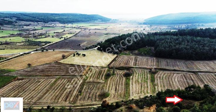 Eceabat Bigalı Da Tek Tapu Satılık Tarla