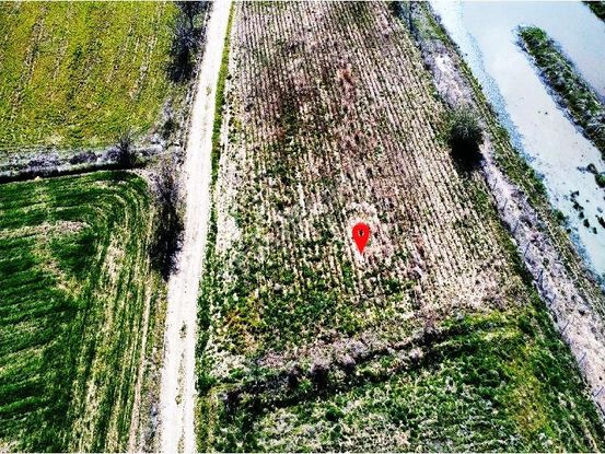 Acıpayam Yazır Kasabasında Satılık Tarla