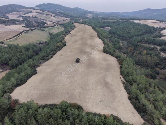 Yüreğir Çelemli'de Satılık Tek Tapu Tarla