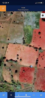 Satılık 10 Dönüm Bağ