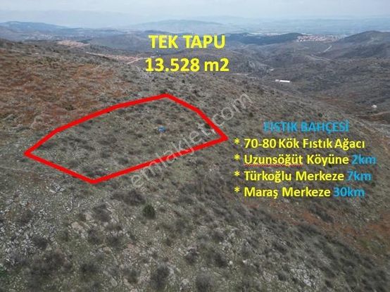 Coldwell Banker'den Tek Tapu (13.528m2) Satılık Fıstık Bahçesi