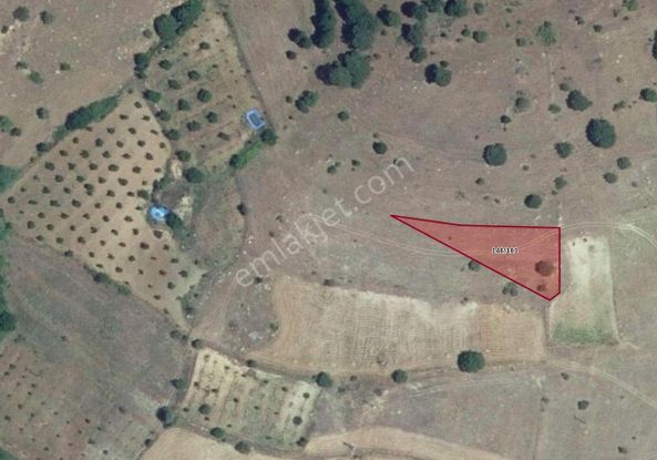 Sahibinden Sahibinden Sındırgı Aktaş Mahallesi Evlere Yakın Fırsat Yatırımlık Arsa 1207 M2