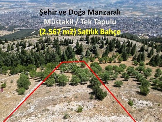 Sulutarla'da Fırsat Tek Tapu (2.567m2) Manzaralı Satılık Bahçe