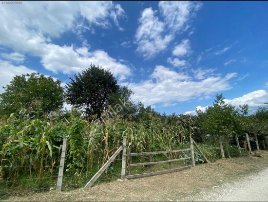 Epa Tekbir'den Satılık 724m² Arsa!!!