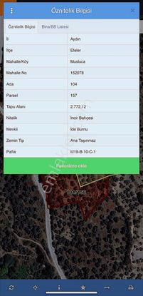 Aydın Efeler Musluca Mahallesinde Satılık 3 Adet İncir Bahçesi