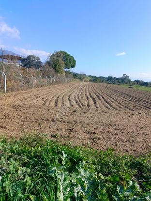 Aydın Nazilli Durasallı Mah Satılık Arsa