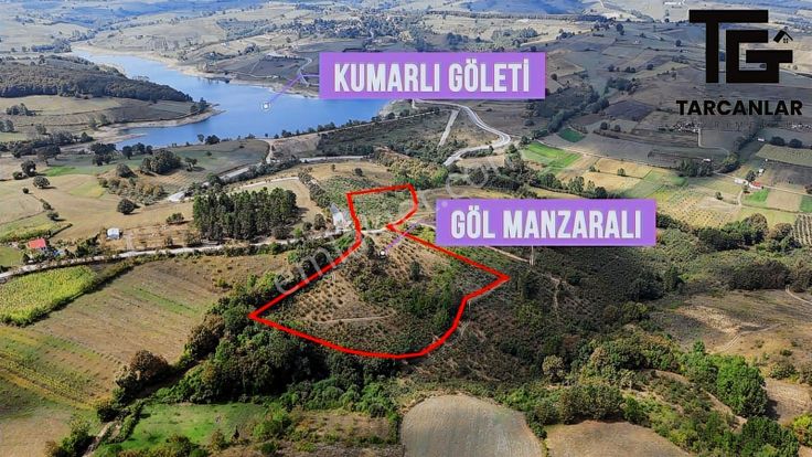 Tarcanlar'dan İzmit Güvercinlik'te Satılık 18 Dönüm Fındıklık